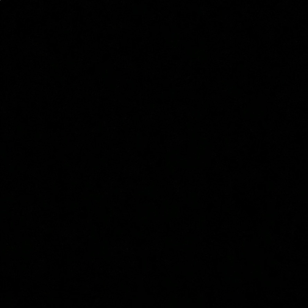 Meet your Posher, Austyn